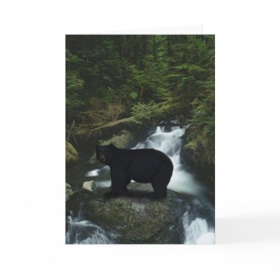 Black Bear & Salmon Stream Greeting Card by RavenSpiritPrints
