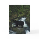 Black Bear & Salmon Stream Greeting Card