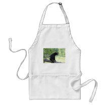 black bear sitting in tree apron