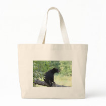 black bear sitting in tree bag