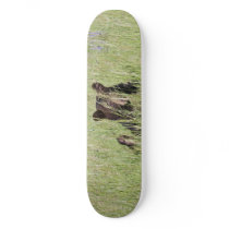Black Bear Skateboard
