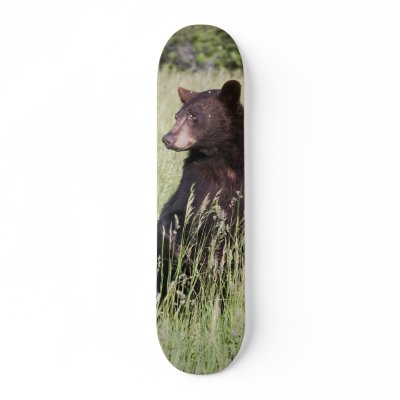 Black Bear Skateboard by luv2wander