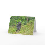 Black Bear Standing Up Greeting Card