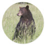 Black Bear Sticker