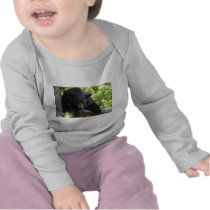 black bear t-shirts