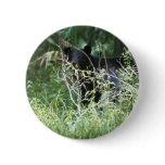 Black Bear Under Cover Pins