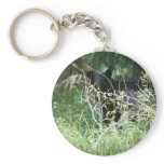 Black Bear Under Cover Key Chains