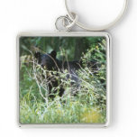 Black Bear Under Cover Keychain