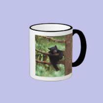 black bear, Ursus americanus, cub in a tree mugs
