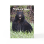 Black Bear Wildlife "Missing You" Greeting Card
