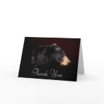 Black Bear Wildlife Thank You Card