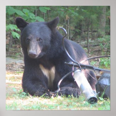 Black Bear with White Heart Tattoo by Sanjo_Gallery