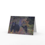BLACK BEARS Wildlife Greeting Card