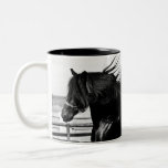 Black Beauty Horse Coffee Mugs