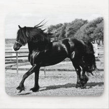 Black Beauty Horse Mousemats