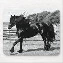 Black Beauty Horse mousepads