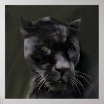 Black Beauty