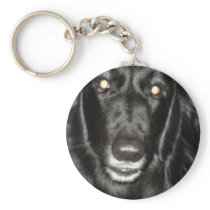 Black Belgian Shepherd Keychains