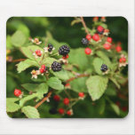 Black Berries Mouse Pad