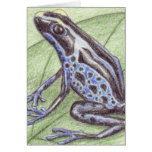 Black Blue Frog notecard