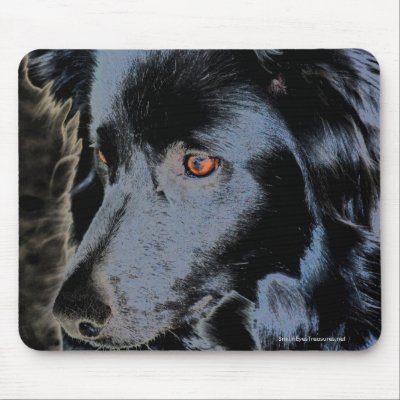 Black Border Collie Dog Photo Mousepad by SmilinEyesTreasures