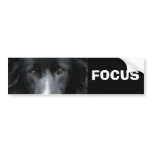 Black Border Collie Face Dog bumper stickers