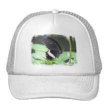 Black Butterfly Baseball Hat