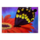 Black Butterfly Daisy Painting - Multi Greeting Cards