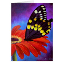 Black Butterfly Daisy Painting - Multi Greeting Cards