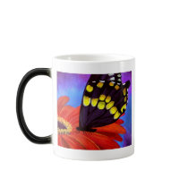 Black Butterfly Daisy Painting - Multi Coffee Mug