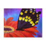 Black Butterfly Daisy Painting - Multi Post Card