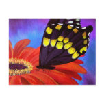 Black Butterfly Daisy Painting - Multi postcards