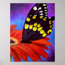 Black Butterfly Daisy Painting - Multi