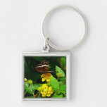 Black Butterfly on Yellow Lantana Key Chains