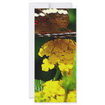 Black Butterfly on Yellow Lantana rack cards