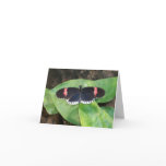 Black Butterfly Thank you Card