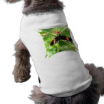 Black Butterfly with Pink Dog Shirt