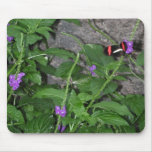 Black Butterfly with Red wing Stripes Mousepad