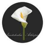 Black Cala Lily stickers