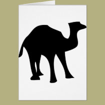 black camel cards