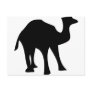 black camel post card