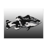BLACK CAMO BASS POST CARD