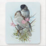 Black Cap Warblers Mouse Pad