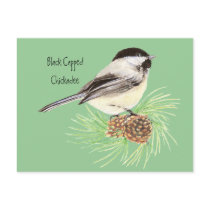 Black Capped Chickadee - Bird - Nature Post Card
