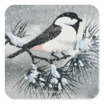 Black Capped Chickadee Bird Square Stickers