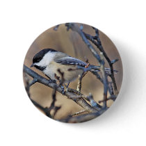 Black-Capped Chickadee Button
