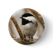 Black capped chickadee pin