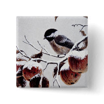 Black-capped chickadee pinback buttons