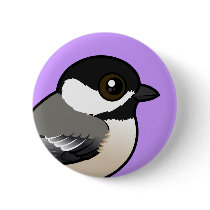 Black-capped Chickadee