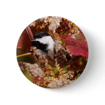 Black-Capped Chickadee Button